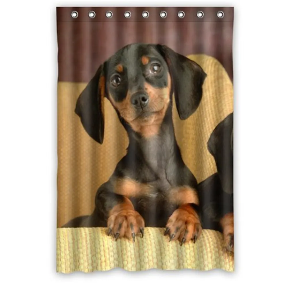 

Stylish Dachshund Bathroom Shower Shower Curtain,