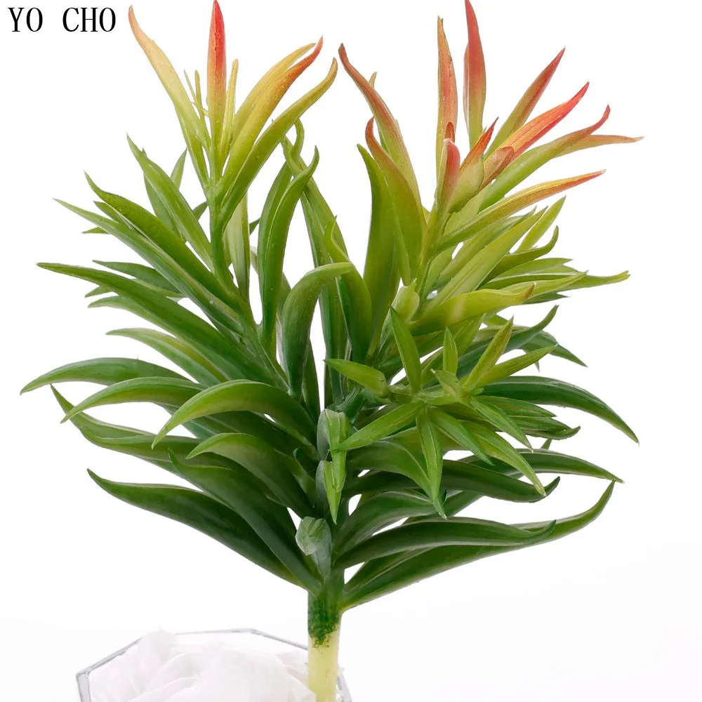 High quality succulent plants plastic Dianthus simulation plants silk
