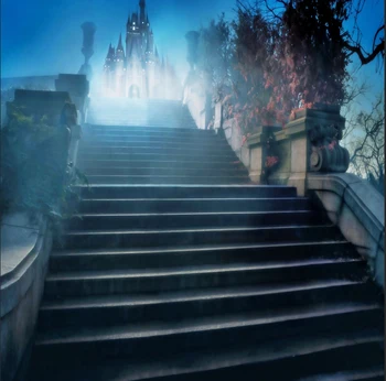 

8x8FT Cinderella Princess Castle Palace Steps Night Time Custom Photography Studio Backgrounds Backdrops Vinyl 240cm x 240cm