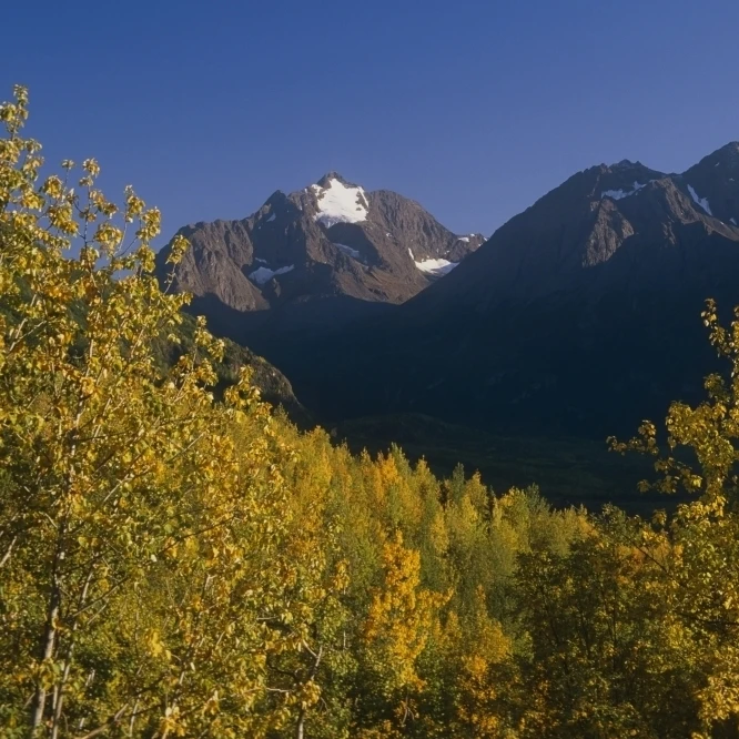Polar Bear & Eagle Peak Chugach State Park & Mtns In Autumn Southcentral Alaska Poster Print (17 x 11)