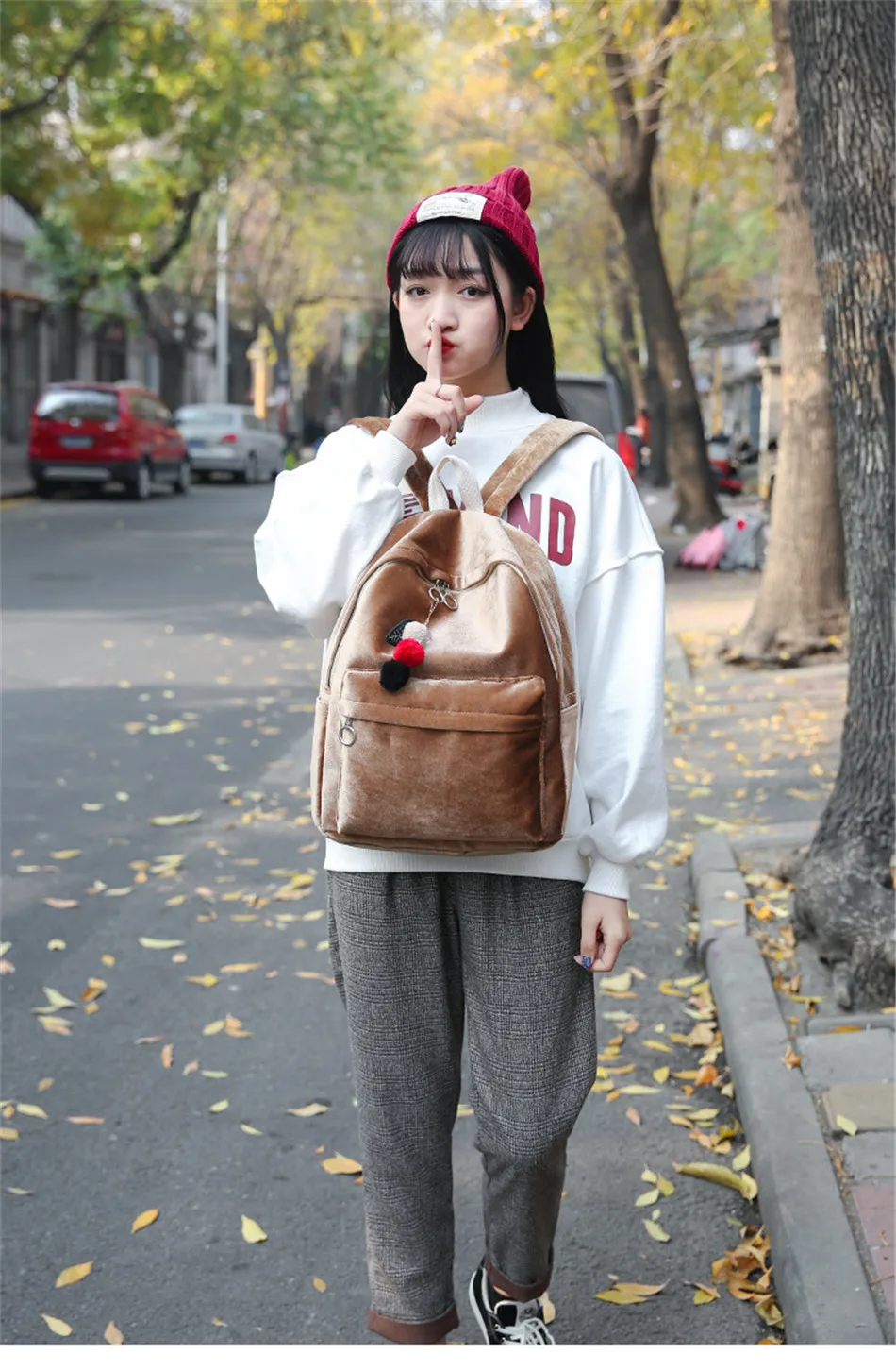 bag (16)