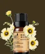 Чистое растительное эфирное масло марокканское масло ромашки 2 мл для сухой кожи устраняет чувствительное увлажнение