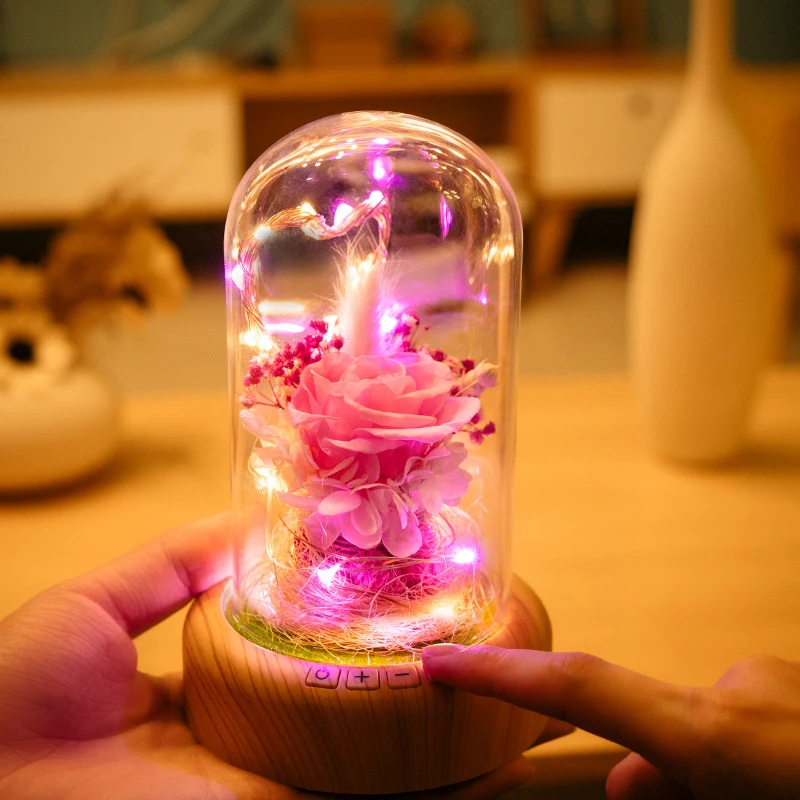

1 Pc LED Mini Usb Wish Time Bottles Bluetooth Speaker Small Night Lamp Life Flower Decoration Gifts