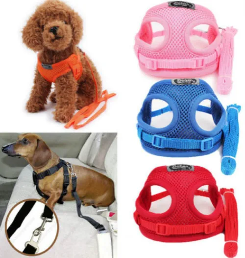 Tiny Teacup Pet Dog Harness Lead Mini Puppy Chihuahua Rabbit Cat Toy Creative | Дом и сад