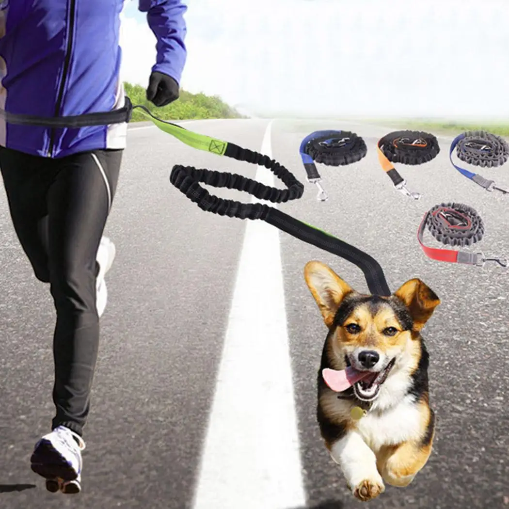 

Durable Adjustable Outdoor Pet Dog Leashes Pet Dog Supplies