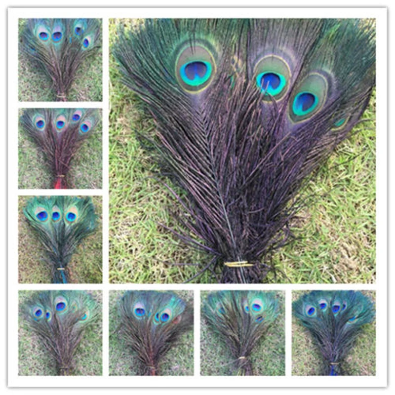 Wholesale! Free shipping 500 pcs pretty 10 12 inch / 25 30 cm peacock