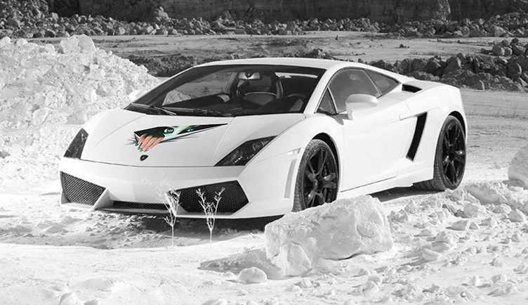 a1