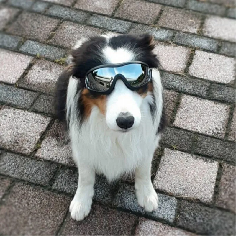 Крутые солнцезащитные очки для собак с защитой от ультрафиолета, ветрозащитные очки для домашних животных, очки для глаз средних и больших собак, очки для плавания и катания на коньках, аксессуары