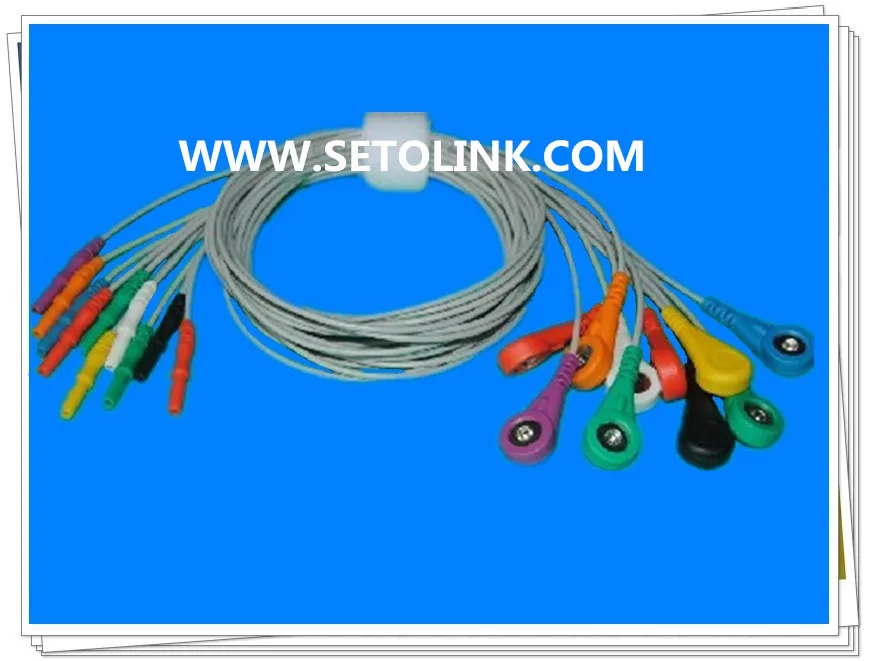 

HOLTER ECG CABLE 10 LEADWIRES
