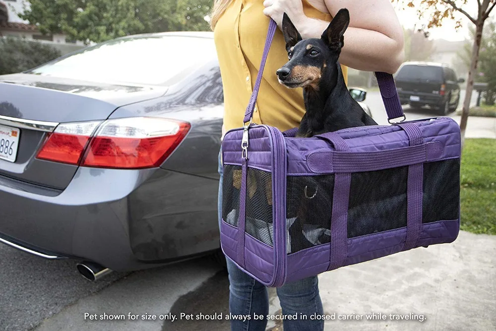 9672385488_1508869180