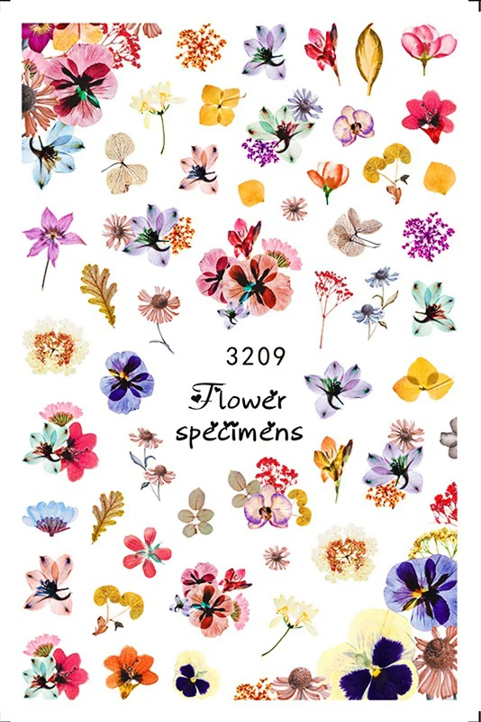 3209