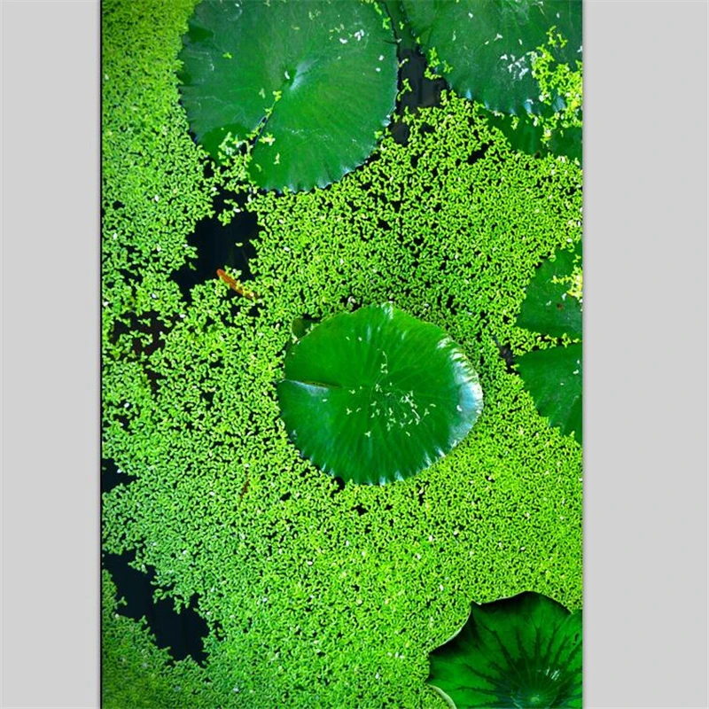 Напольное покрытие wellyu на заказ 3d фотообои декоративные картины в китайском