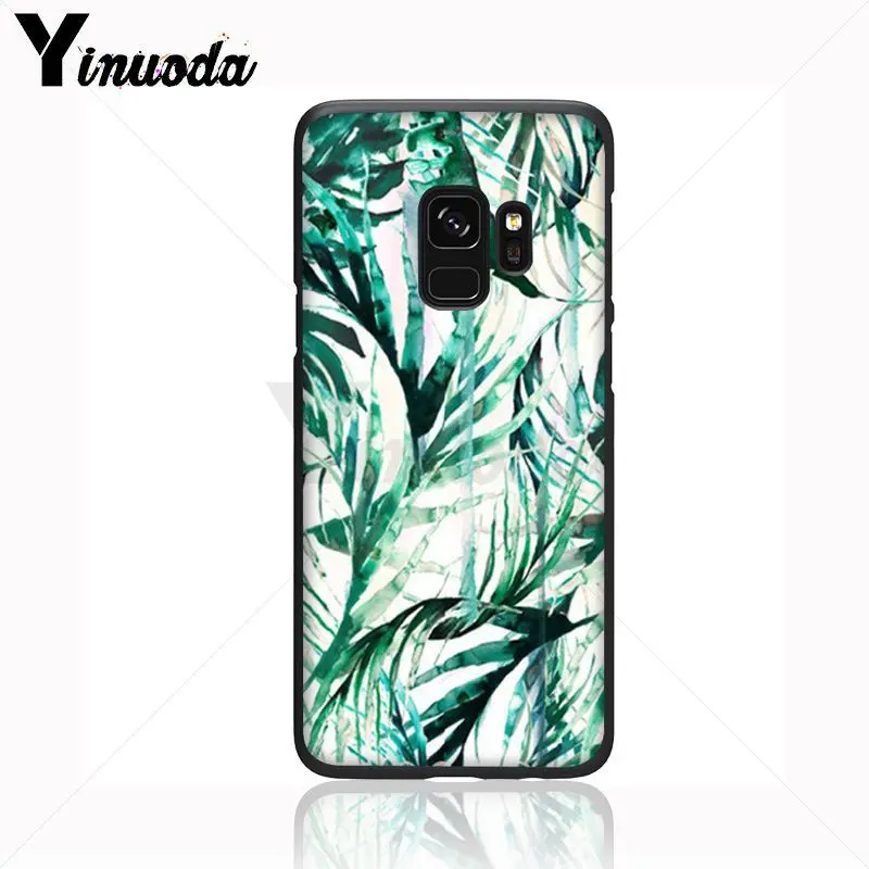 green plant leaves