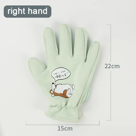 Перчатка для кошек перчатка антишерсть рукавица для кошки перчатка для кошки перчатки для кошек перчатка для кота перчатка от шерсти животных перчатки для собак перчатка для собак для шерсти кошек - Цвет: Light Green Right