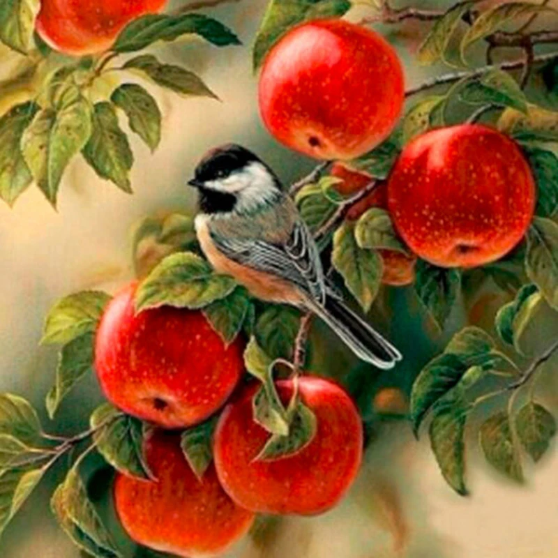 Diamond-embroidery-bird-fruit-5d-diamond-painting-cross-stitch-kits-Full-round-rhinestones-diy-diamond-mosaic