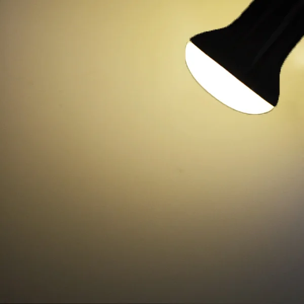 Lâmpadas Led e Tubos pode ser escurecido Formato : Mushroom