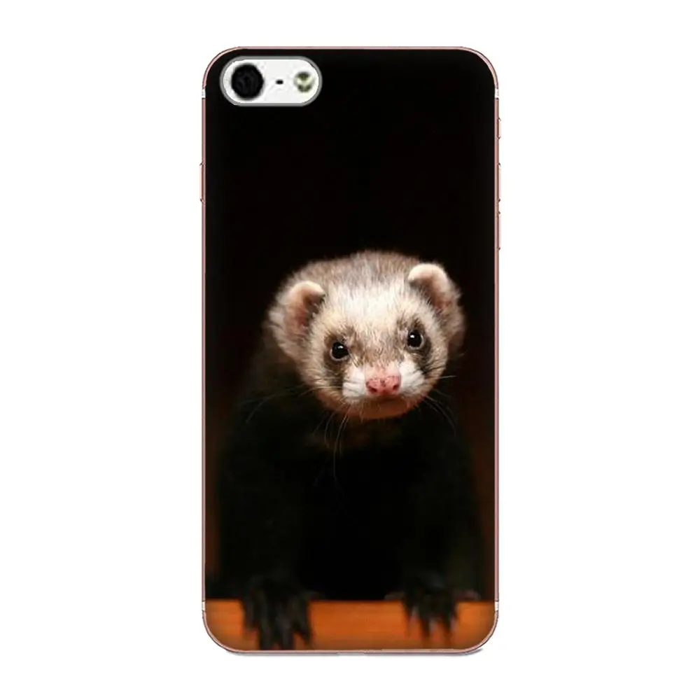 Ferret для Galaxy Alpha Note 3 4 10 A10 A20 A20E A30 A40 A50 A60 A70 A80 A90 M10 M20 M30 M40 новейший супер милый чехол
