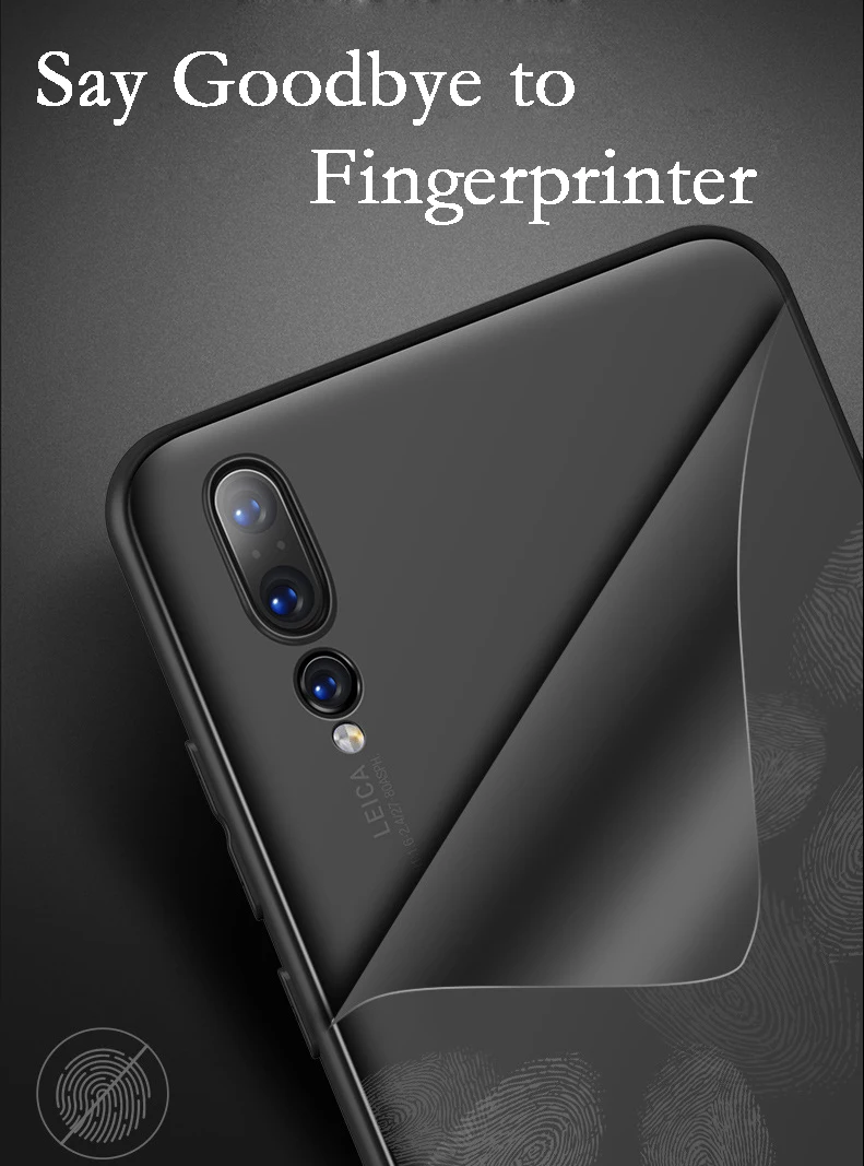 8889206777_887303409副本