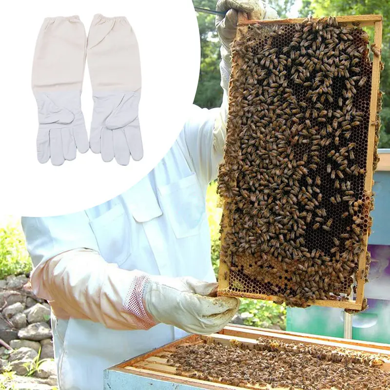 Новые профессиональные защитные перчатки для пчеловодства, перчатки из козьей кожи, противоукусы пчел, пчеловодство, оборудование для пчеловод пчеловодство