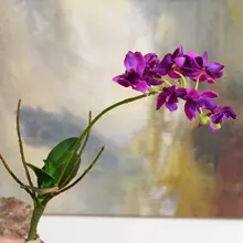 6 шт. 36 см мини фаленопсис высокого качества для гостиной украшения дома искусственный цветок Праздничный Орнамент Искусственный цветок