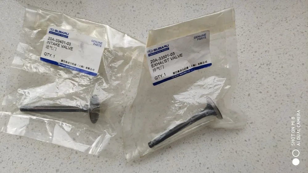 

EX17 EX21 INTAKE VALVE AND EXHAUST VALVE ENGINE PARTS