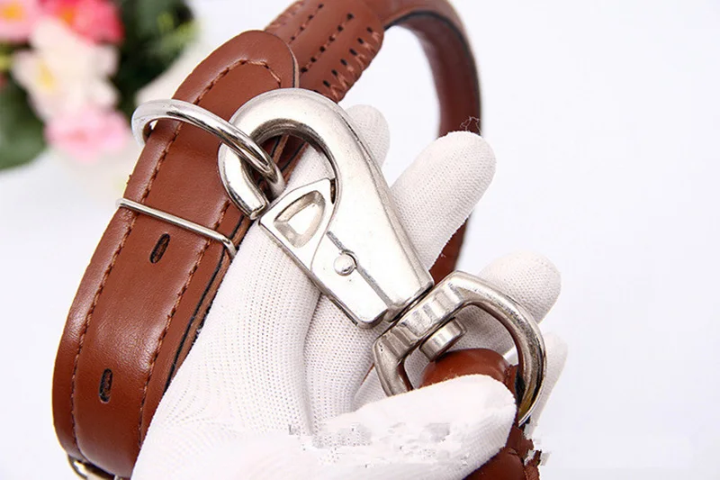 Leather Dog Collars and Leashes (9)