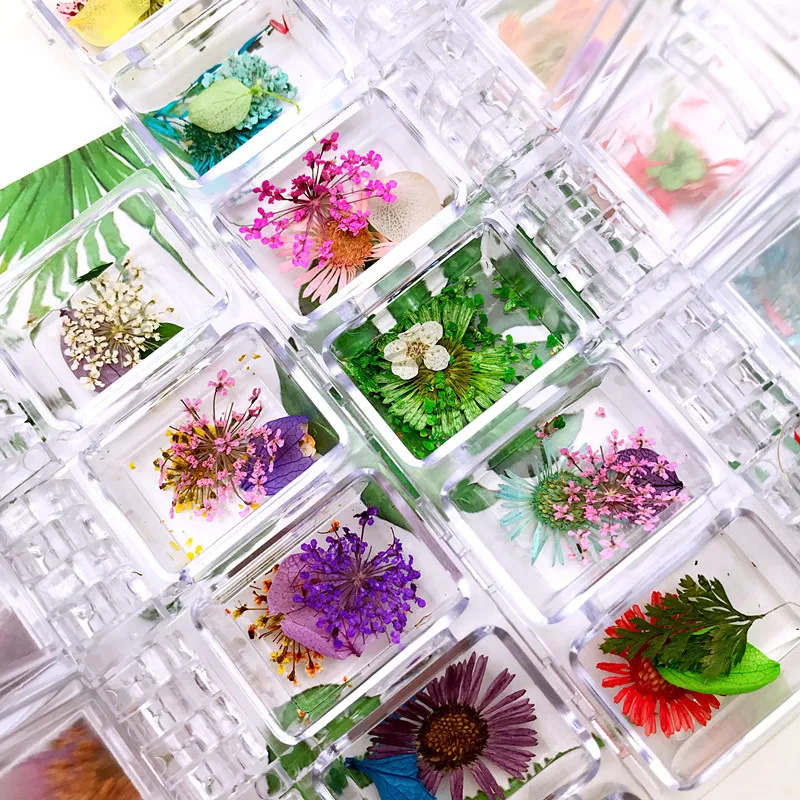 

mixed styles 12 colors dried flower for nail art decorations natural nail dry flowers box daisy new arrival