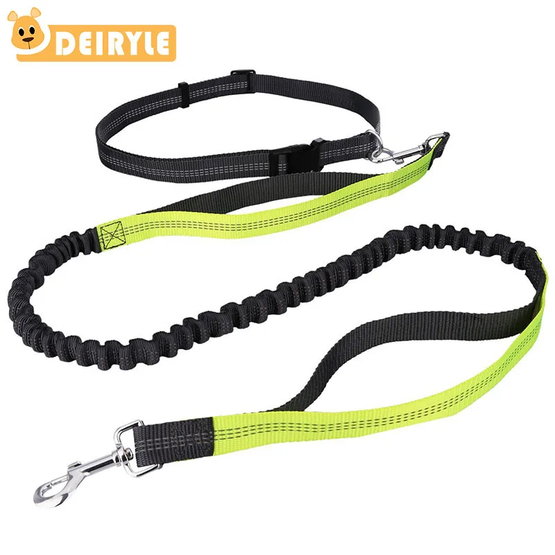Buy Hands Free Dog Leash with Strong Elastic Buffer