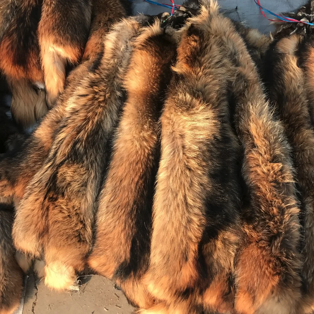 

Natural Raccoon fur skins/ real Raccoon raccoon fur hide pelts/ high quality Chinese raccoon fur for hood
