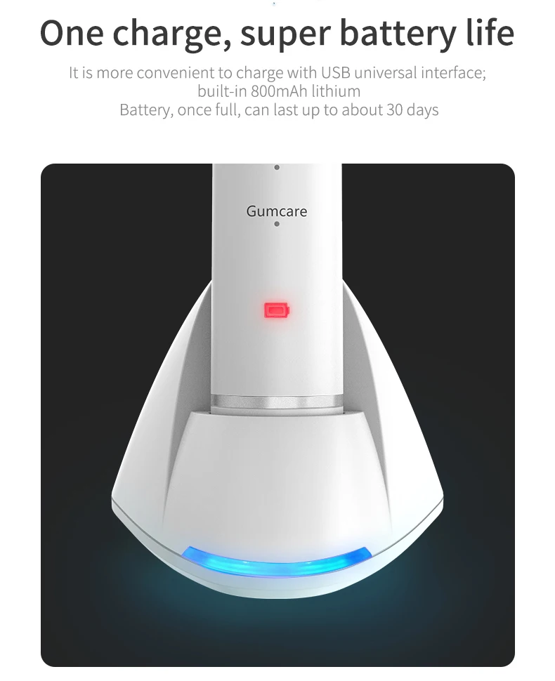 electric toothbrush (11)