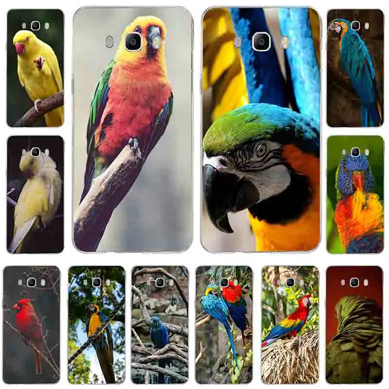 Цветной милый стиль попугая для Samsung A5 A3 A7 J1 J2 J3 J5 J7 2017 2016 Оболочка Чехол Мягкий ТПУ