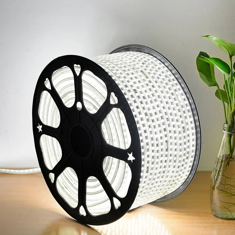 SMD3014 AC 220V flexible led strip light without power plug 1M2M3M4M5M