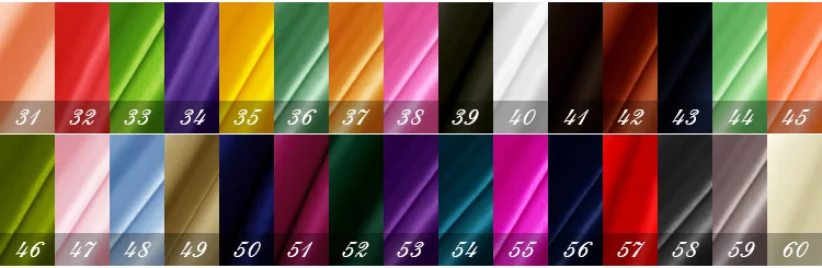 CS31-60