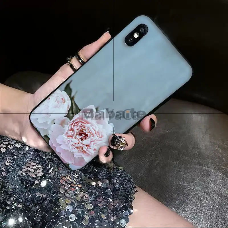 Nature and flowers Peony Rose