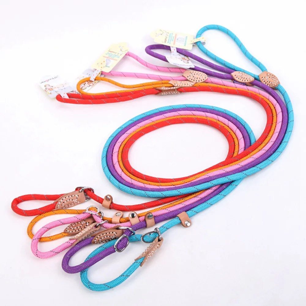 Pet Products Dog Leash Nylon Reflective Puppy Dog Leash Rope Cat Chihuahua Pet Leash And Collar Set Cat Dog Leashes Lead Harness (26)