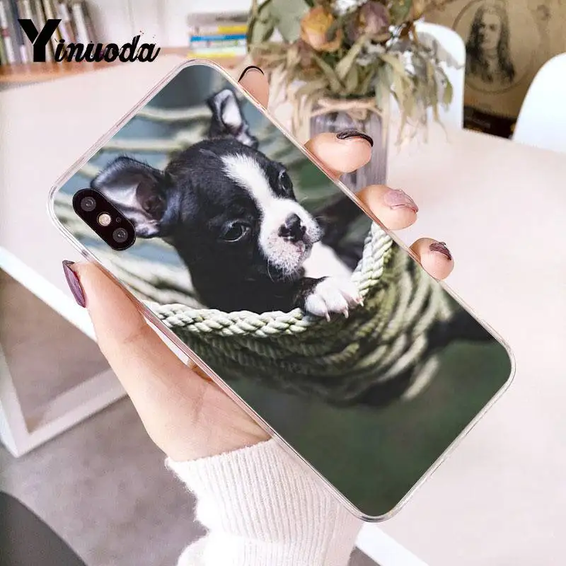 Чехол Yinuoda для iPhone 7 Boston Terrier прозрачный чехол 8 6 6splus X 10 5 5S SE XR XS XSMAX|Бамперы| |