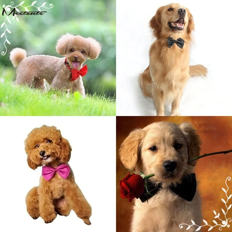 dogtie15