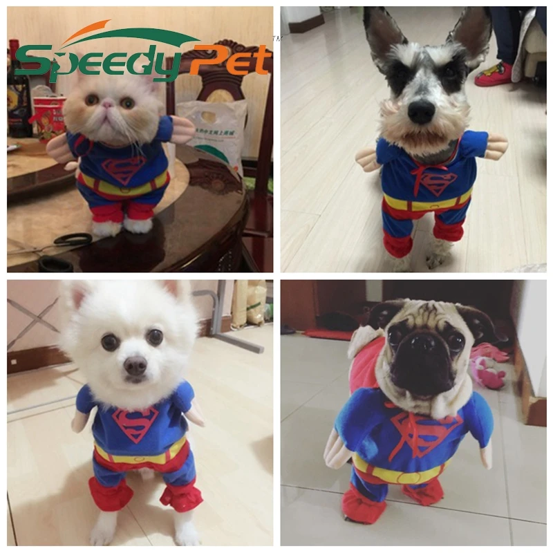 

Waterproof pet clothes Funny Super Man Dog Puppy Coat Cloak Red Blue Hero Pet Cosplay Clothing Cat T-shirt Kitten Summer Suit
