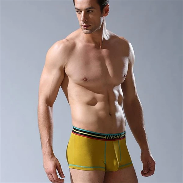 Нижнее белье трусы боксеры для геев cueca calzoncillos hombre мужские сна 14321 2019|underwear