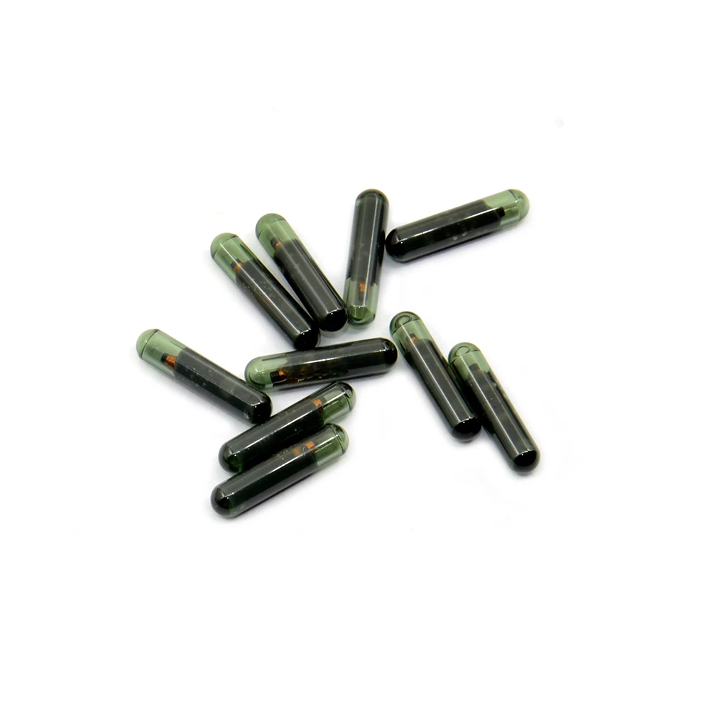 SV110 (5)