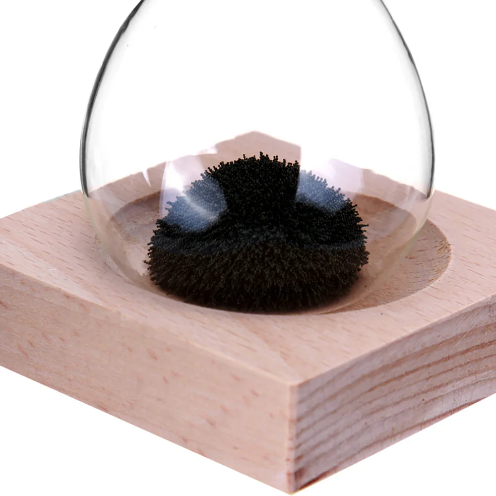 8752945528_721844914