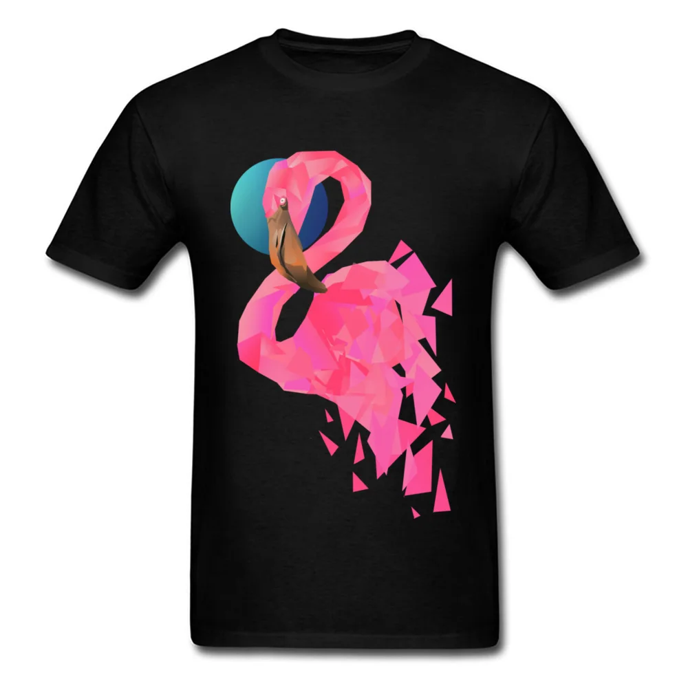 

Lasting Charm Geometric Flamingo Simple & Short Sleeve for Adult Crew Neck Sports T-shirts Tee Shirts Latest