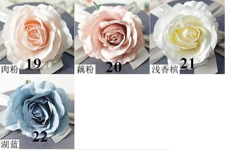 color -(2).jpg