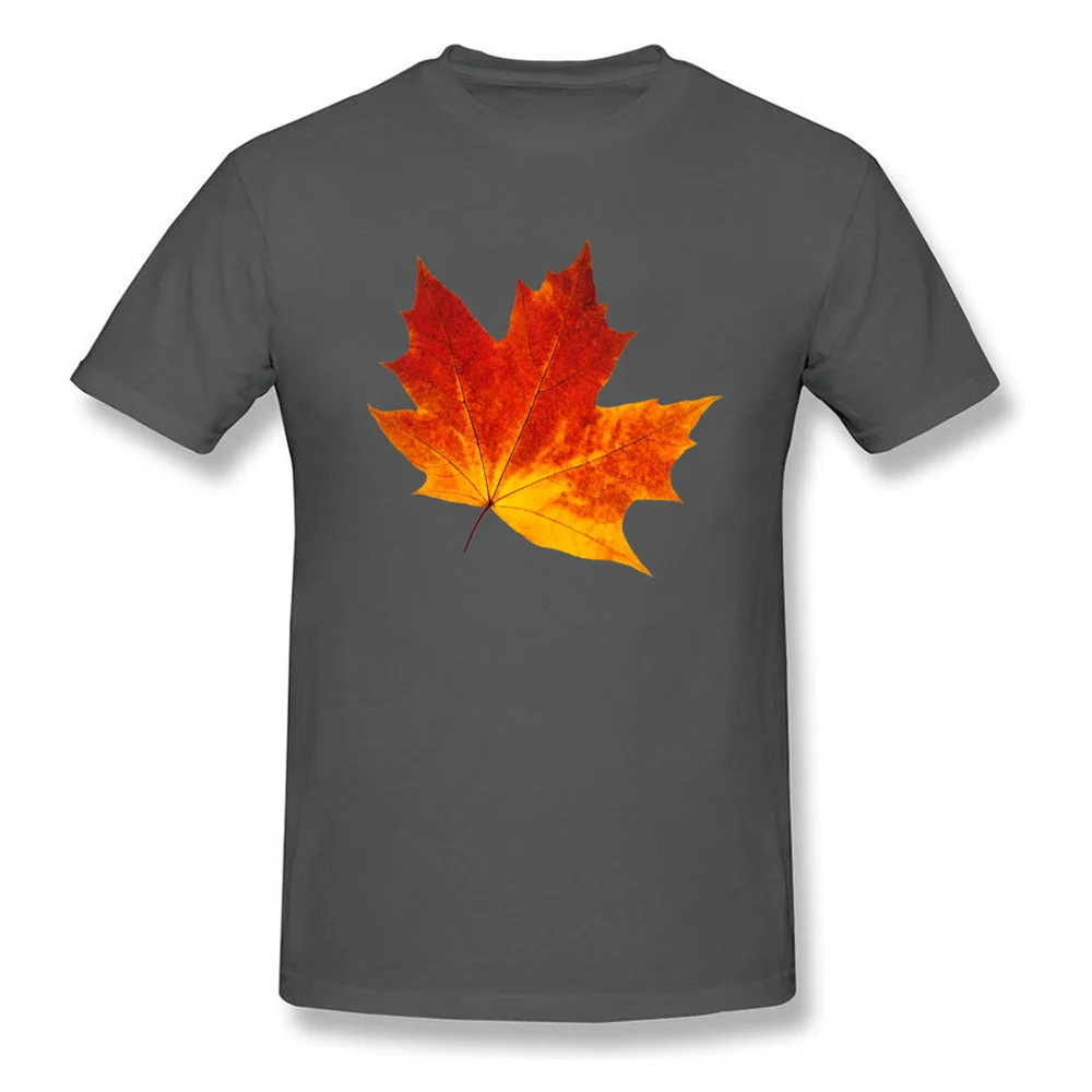 Colorful maple leaf Short Sleeve Tops Tees Crewneck Cotton Fabric Men's T-Shirt Customized Clothing Shirt Family Colorful maple leaf carbon