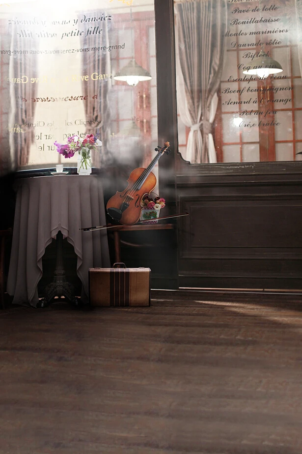 2017 professional Free shipping Wholesale interior photo studio