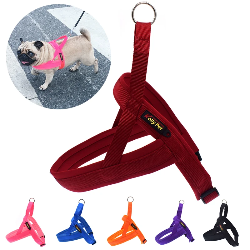 01 dog harness 