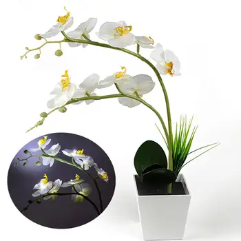 

TPFOCUS 9LEDs Simulate Phalaenopsis Pot Lamp with White Light for Decoration