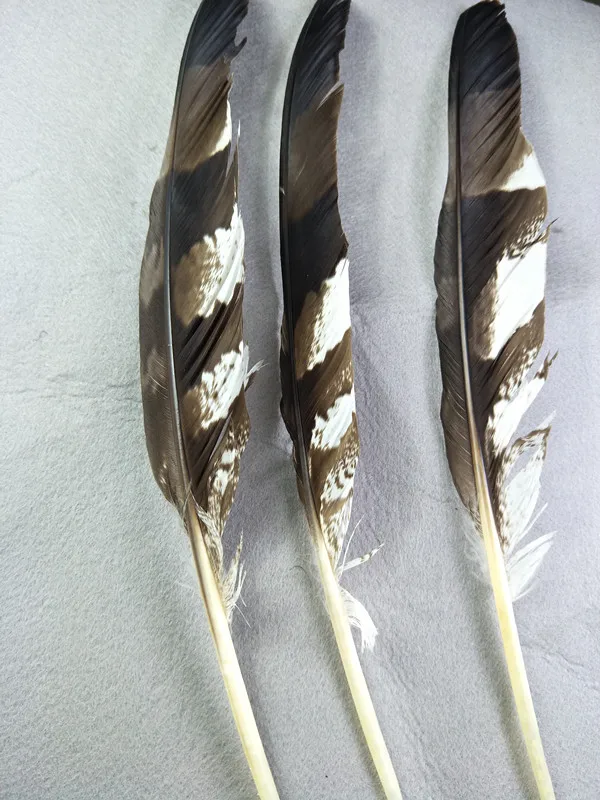 

Perfect 100pcs scare natural Crested Serpent-eagle feathers 14-16inch/35-40cm Clothing accessories stage performance diy