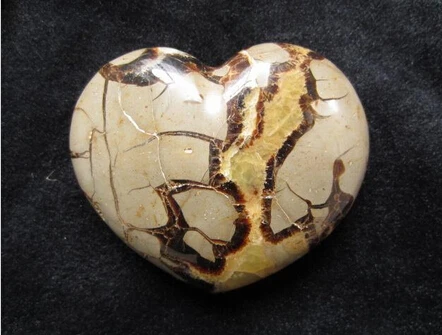SUIRONG---331+++Ishihara natural marine turtle fossil stone heart-shaped ornaments | Дом и сад