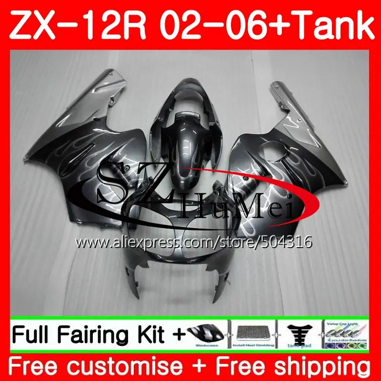 

Injection For KAWASAKI NINJA ZX-12R ZX1200 CC 24HS3 Silver flames ZX12R 02 03 04 05 06 ZX 12R 2002 2003 2004 2005 2006 Fairings